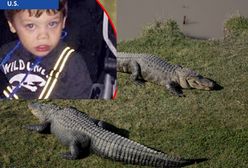 Wstrząsająca relacja ojca 2-latka zabitego przez aligatora