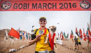 Bezdomny pies przyłącza się do maratończyka podczas biegu. Kończą wspólnie maraton