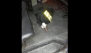 Policjanci uratowali rannego bociana. Został zawieziony do weterynarza w.... mundurze!