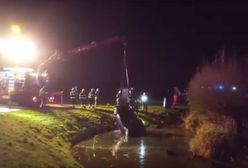 Polacy bohaterami w Holandii. Uratowali ojca i trójkę dzieci