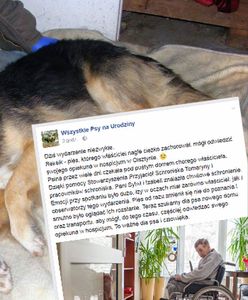 Wielka akcja poszukiwania domu dla Rexa! Jego właściciel trafił do hospicjum