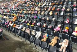11 tysięcy misiów usiadło na trybunach stadionu w hołdzie dla zmarłej dziewczynki