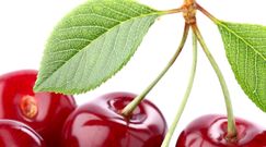 Lubisz czereśnie? Nie wyrzucaj ogonków