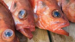 Właściwości karmazyna