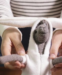 Pomysł na biznes: Ekologiczne zabawki i nie tylko