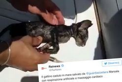 Mały kociak zaczął się topić. Ratownicy uratowali go robiąc mu... masaż serca i sztuczne oddychanie!