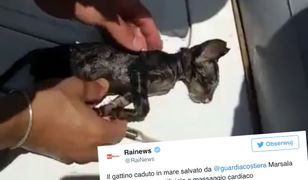 Mały kociak zaczął się topić. Ratownicy uratowali go robiąc mu... masaż serca i sztuczne oddychanie!