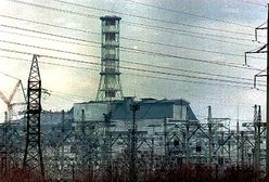 Będą paliwa z radioaktywnych buraków spod Czarnobyla?