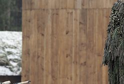 To zdarzyło się w Polsce!