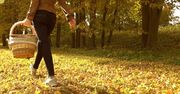 5 powodów, by zakochać się w jesieni