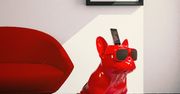 Nietypowy głośnik dla fanów czworonogów