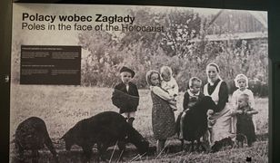 Spór o bohaterów II wojny światowej w sądzie. Kto nam umebluje pamięć o wojnie?