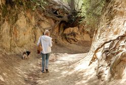Kazimierz Dolny. Urokliwy Wąwóz Czarny wyłożą betonowymi płytami. "Zwykła fanaberia"
