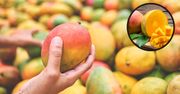 Jak wybrać dobre mango w sklepie? Wystarczy pamiętać o 3 zasadach, a zawsze trafisz w dziesiątkę