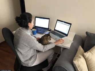 Koronawirus. Wzrosła liczba cyberprzestępstw