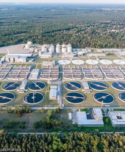 Afera w oczyszczalni "Czajka". Wiemy, gdzie trafiały paskudne osady
