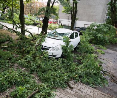 Tragiczny bilans nawałnic. 4 osoby nie żyją, 2 są ranne. Bez prądu jest ok. 500 tys. odbiorców