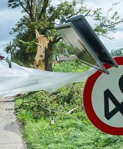 Najnowszy bilans strat po nawałnicach. Te liczby obrazują skalę tragedii