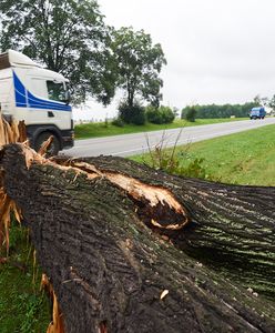 Wzrasta liczba ofiar śmiertelnych spowodowanych nawałnicą. Kolejna osoba zmarła przygnieciona przez drzewo.