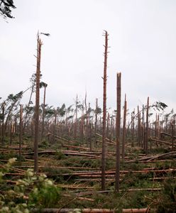 Chwile grozy w trakcie nawałnicy. Dramatyczne nagranie uwięzionych w aucie w okolicy Rytla