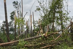 31 mln zł dla poszkodowanych w nawałnicach