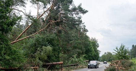 Burze nad Polską. Zerwane dachy, awarie prądu