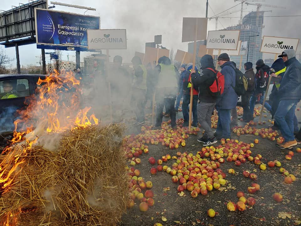 Protest rolników w Warszawie. Świńskie łby na ulicy