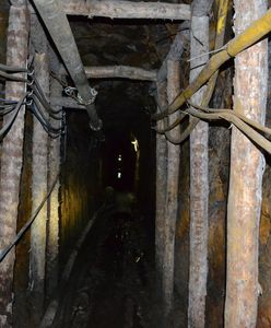 Rydułtowy: Silny wstrząs w kopalni węgla. Jeden górnik nie żyje, ośmiu poszkodowanych. Trwa akcja wydobycia zmarłego