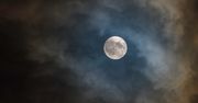 Dziś na niebie superpełnia. Najlepiej ją oglądać... miedzy nogami