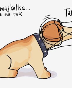 Andrzej Pągowski: Pisek maskotka