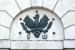 Bunt wykształciuchów