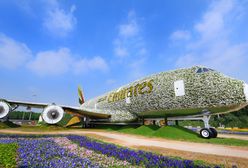 Samolot stworzony z… pół miliona kwiatów!