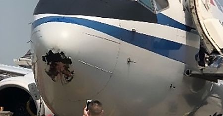 Ptak wleciał w dziób samolotu. Rozpłatał kadłub