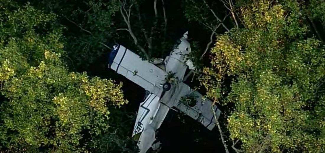 Samolot rozbił się na drzewie. Pasażerowie uwięzieni 15 metrów nad ziemią. [WIDEO]