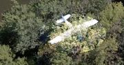 Samolot rozbił się na drzewie. Pilot uwięziony ponad 20 metrów nad ziemią [WIDEO]