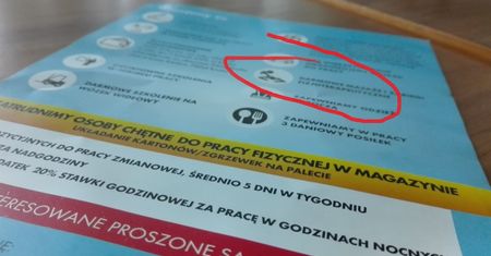 Tak Biedronka przyciąga pracowników. Luksusy, których nie ma niejeden prezes