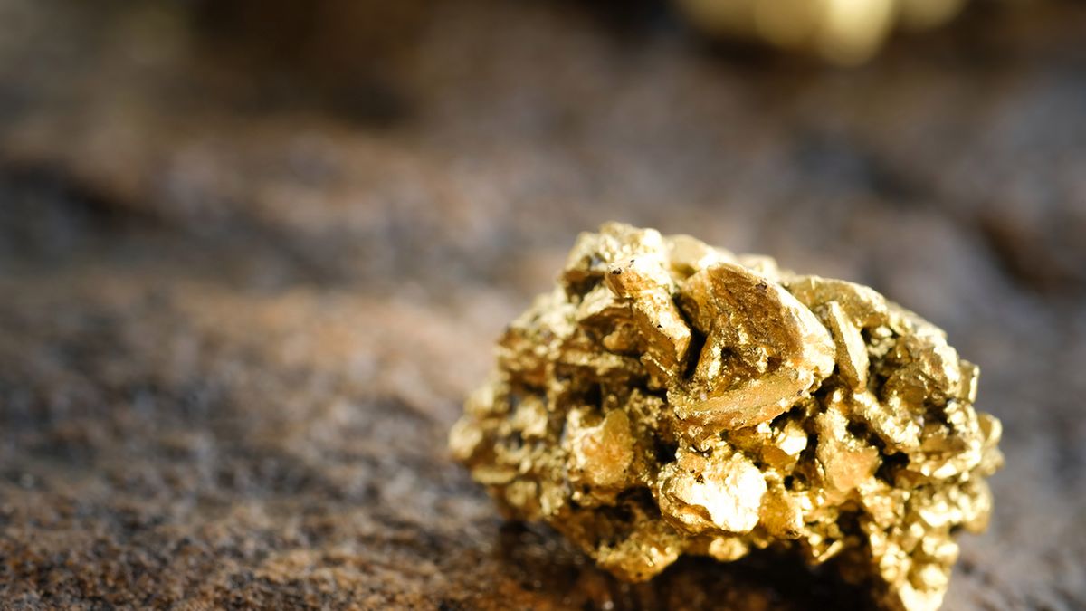 The pure gold ore found in the mine on a stone floor