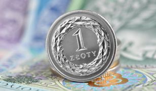 Historyczna decyzja Komisji Europejskiej. Co na to złoty?