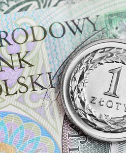 Złoty skapitulował. Dolar i frank mocno w górę