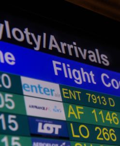 Rząd kusi Polaków do powrotu z emigracji. Pożyczka na założenie w firmy bez rejestracji w pośredniaku