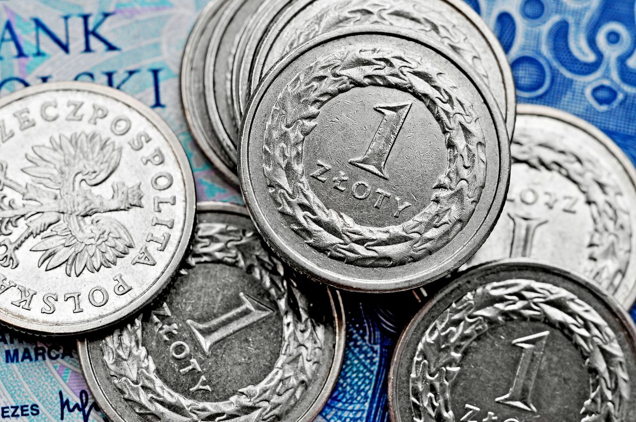 Czy polski złoty ma moc? Sprawdź ile wiesz o walutach