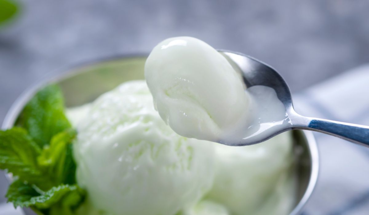 Domowe lody śmietankowe - Pyszności; Foto Canva.com