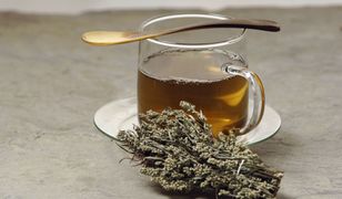 Herbatka z bylicy pospolitej
