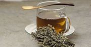 Herbatka z bylicy pospolitej