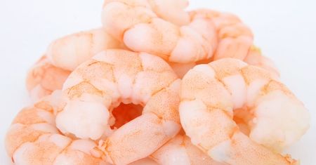 Krewetki koktajlowe – wartości odżywcze, kalorie, zastosowanie