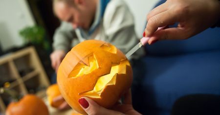 Halloween nakręca plantatorów. Zbiory dyni ostro w górę. Największa ważyła 870 kg