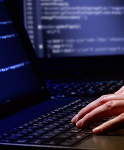 Pracownik IT wykradł dane z rządowych serwerów. "Znaczne zagrożenie dla bezpieczeństwa narodowego"
