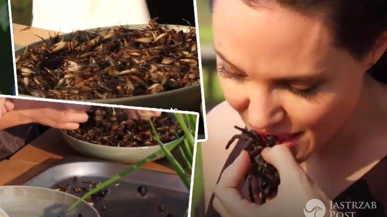 Angelina Jolie je pająki i skorpiony