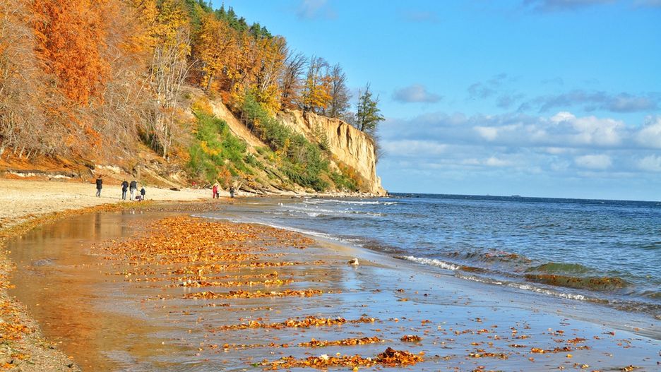 Klif w Orłowie to jedno z najczęściej odwiedzanych miejsc w Trójmieście. Niestety jego fragment osunął się na plażę