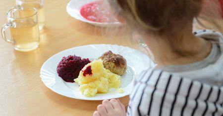 Salmonella w popularnym cateringu DietBoxKids. Dzieci ze żłobka trafiły do szpitala